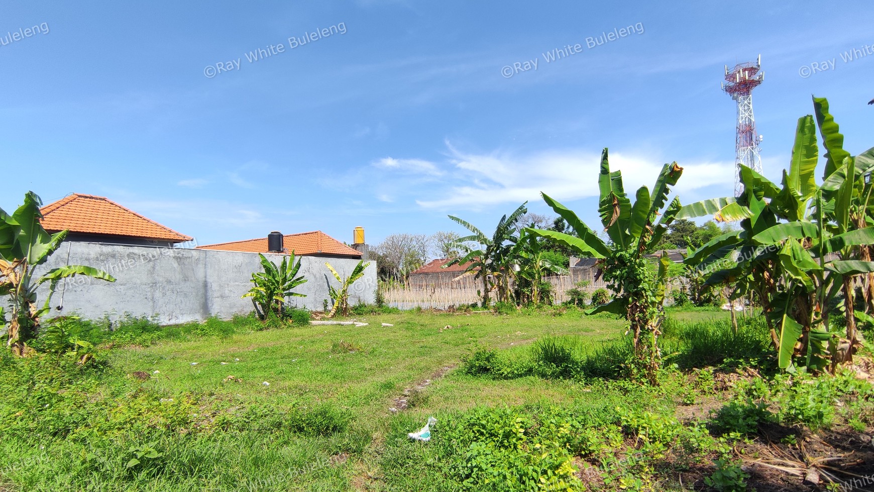 STRATEGIC LOCATION FREEHOLD LAND FOR SALE IN LOVINA