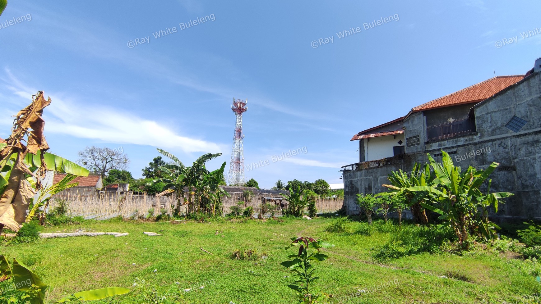 STRATEGIC LOCATION FREEHOLD LAND FOR SALE IN LOVINA