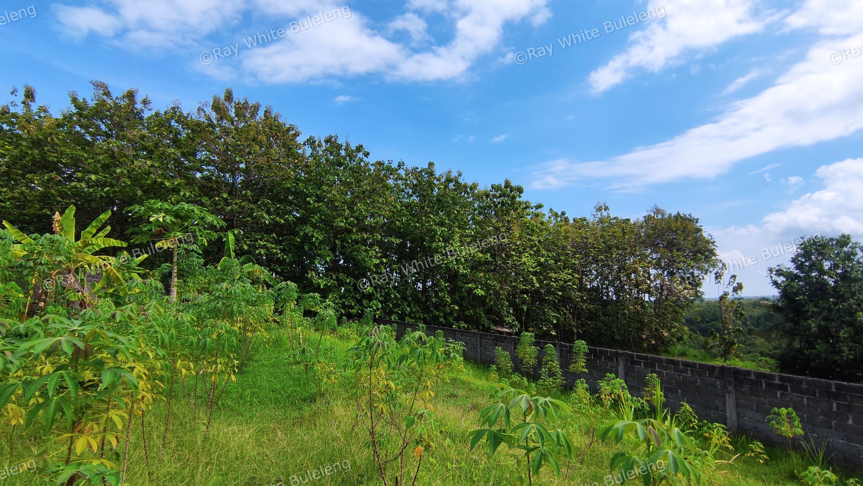 740 SQM FREEHOLD LAND IN LOVINA