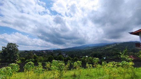 740 SQM FREEHOLD LAND IN LOVINA