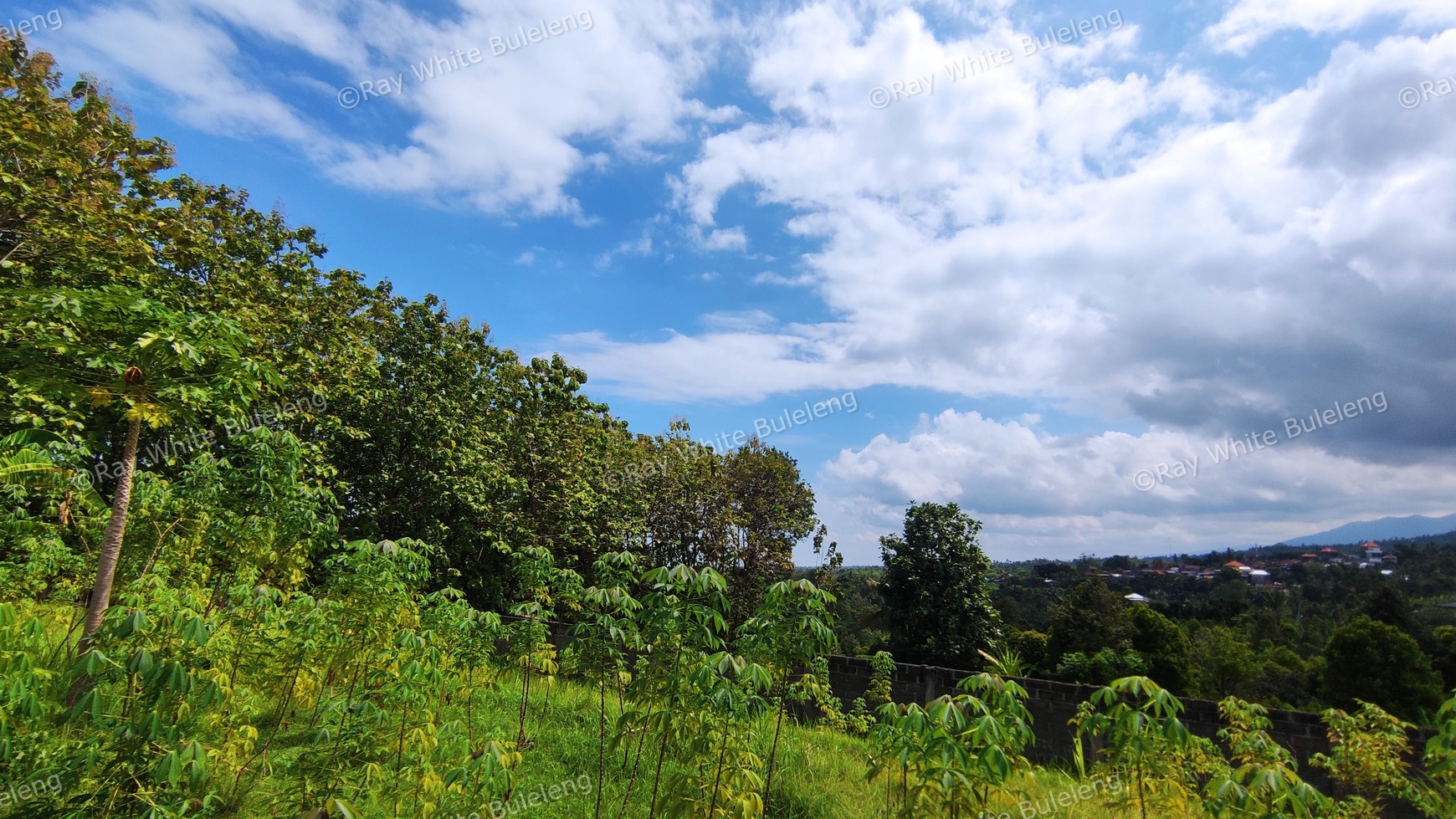 740 SQM FREEHOLD LAND IN LOVINA