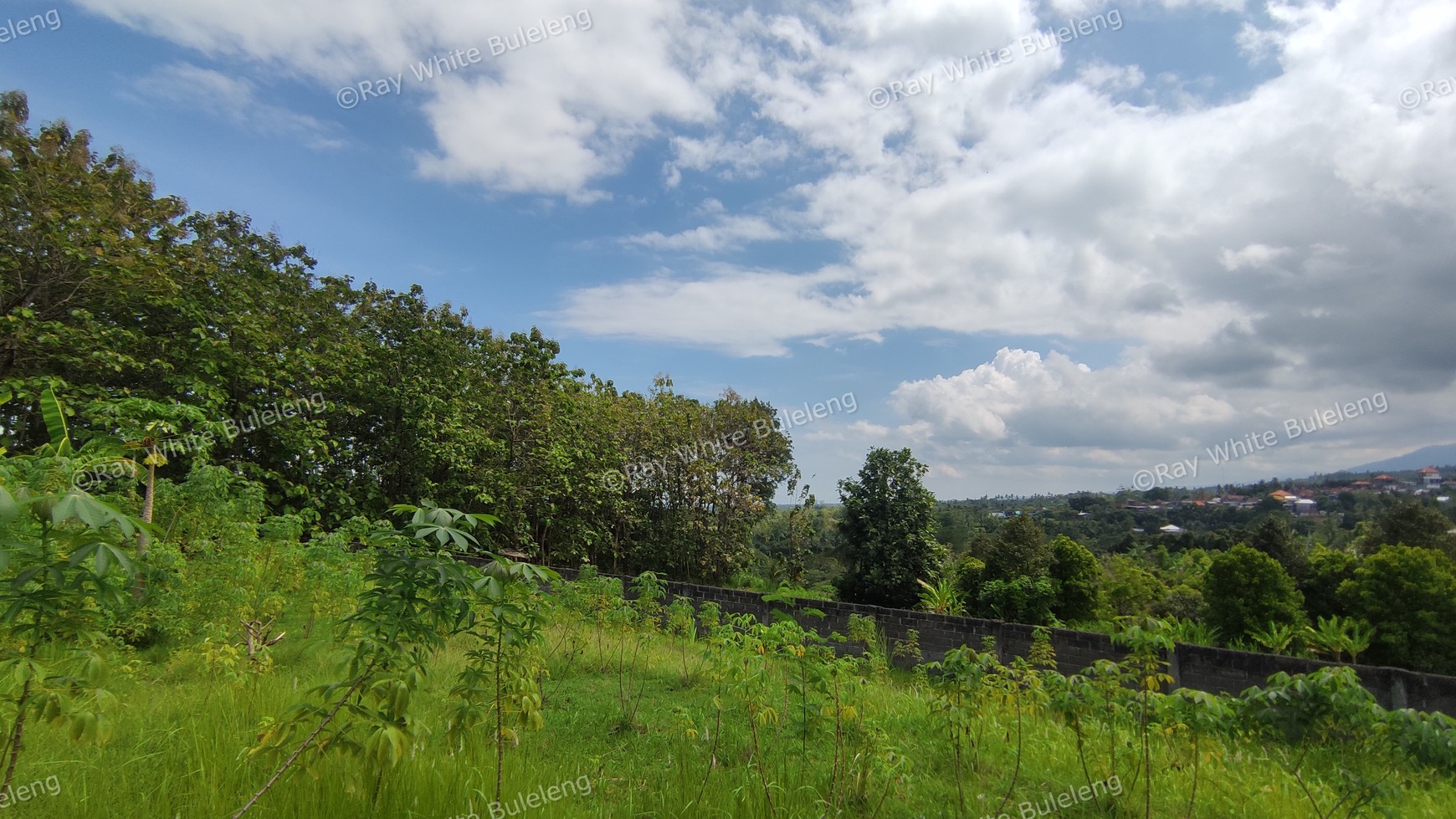 740 SQM FREEHOLD LAND IN LOVINA