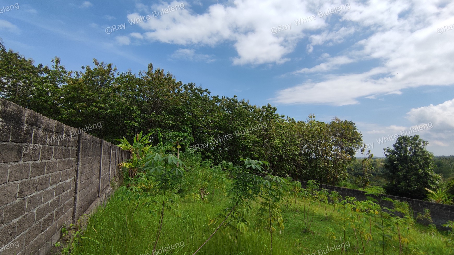 740 SQM FREEHOLD LAND IN LOVINA