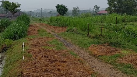 Tanah Sawah 1.673 Meter Persegi DI Pinggir Jalan Raya Pengasih Kulon Progo