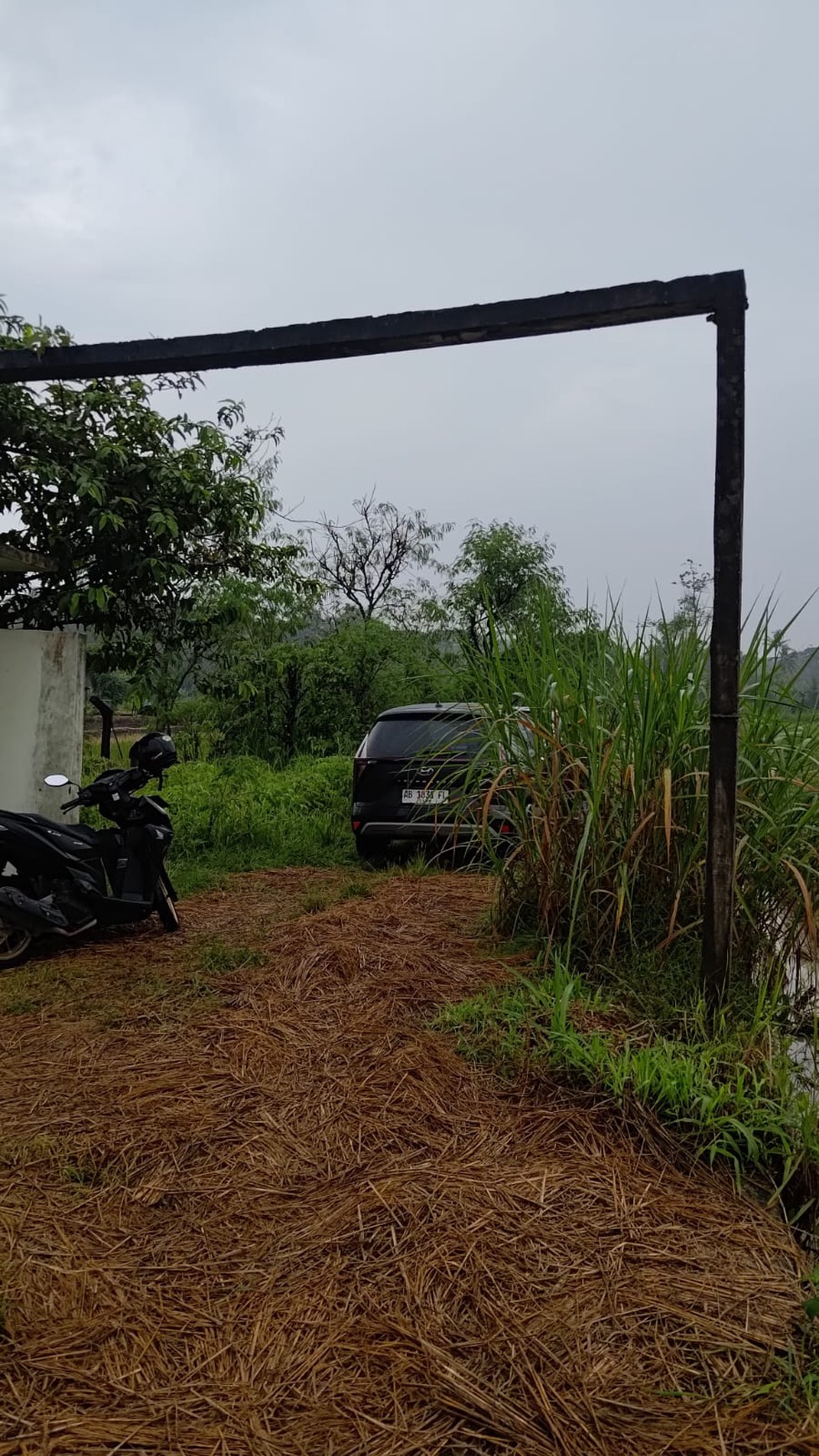 Tanah Sawah 1.673 Meter Persegi DI Pinggir Jalan Raya Pengasih Kulon Progo