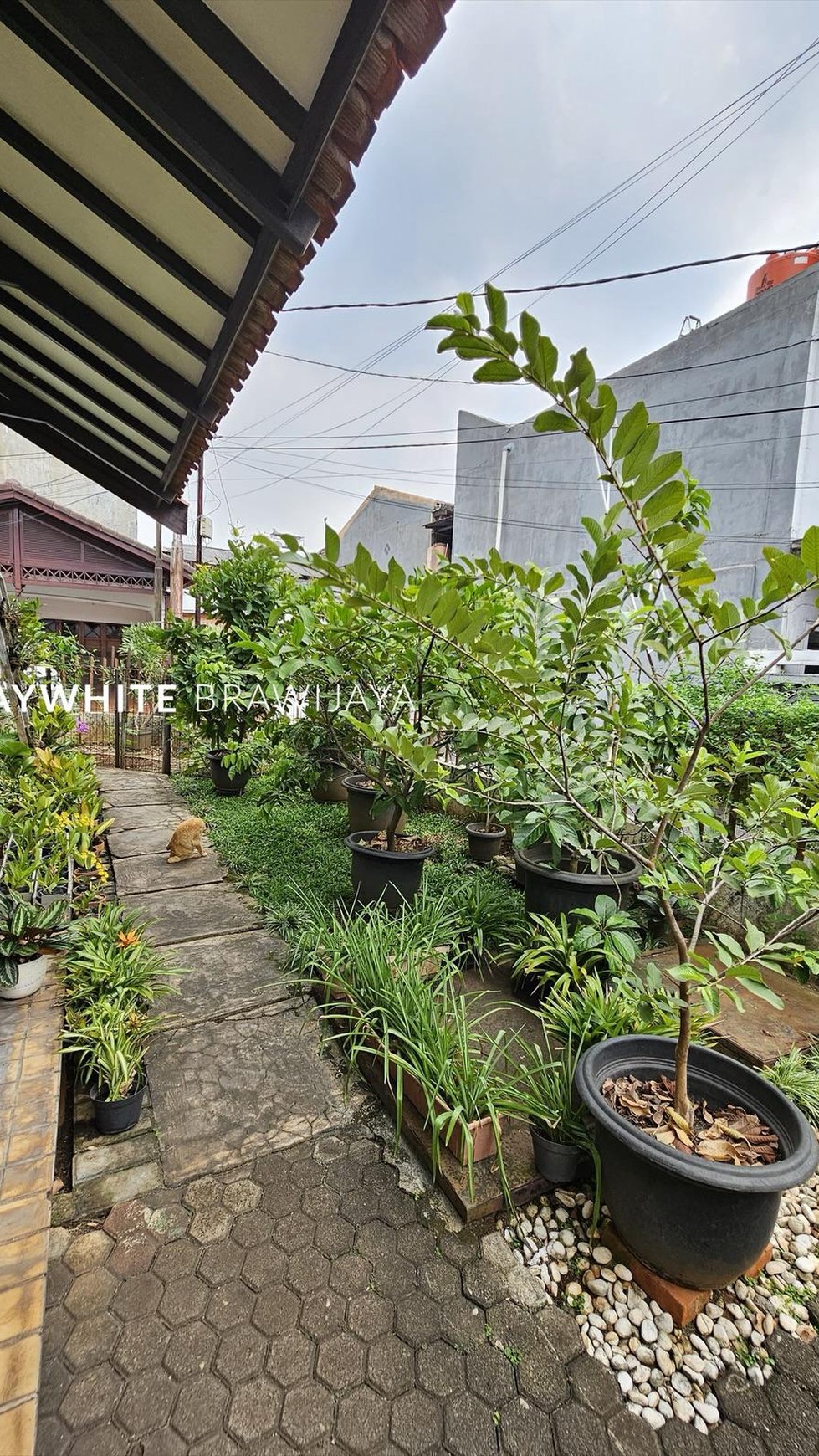 Rumah Lingkungan Tenang Area Mampang Prapatan