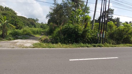 Investasi Tanah 3846 Meter Persegi Lokasi Dekat SMAN 1 Ngemplak Sleman.
