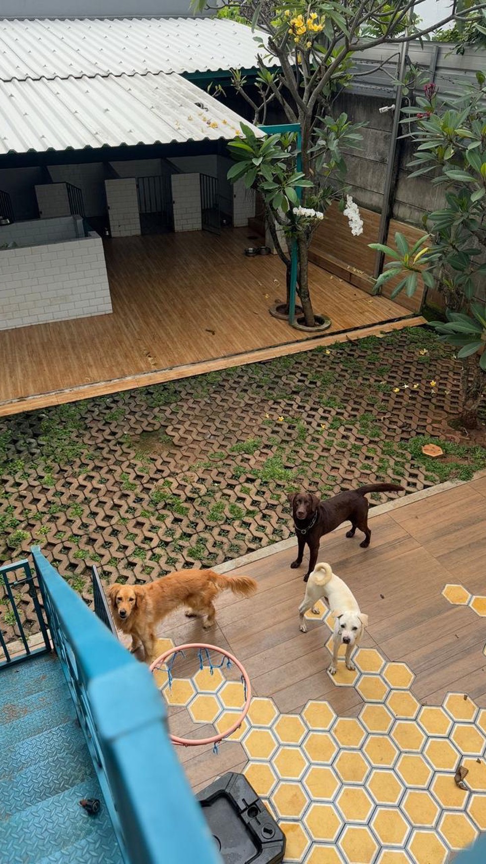 Rumah Cantik Modern di Discovery Residence Bintaro