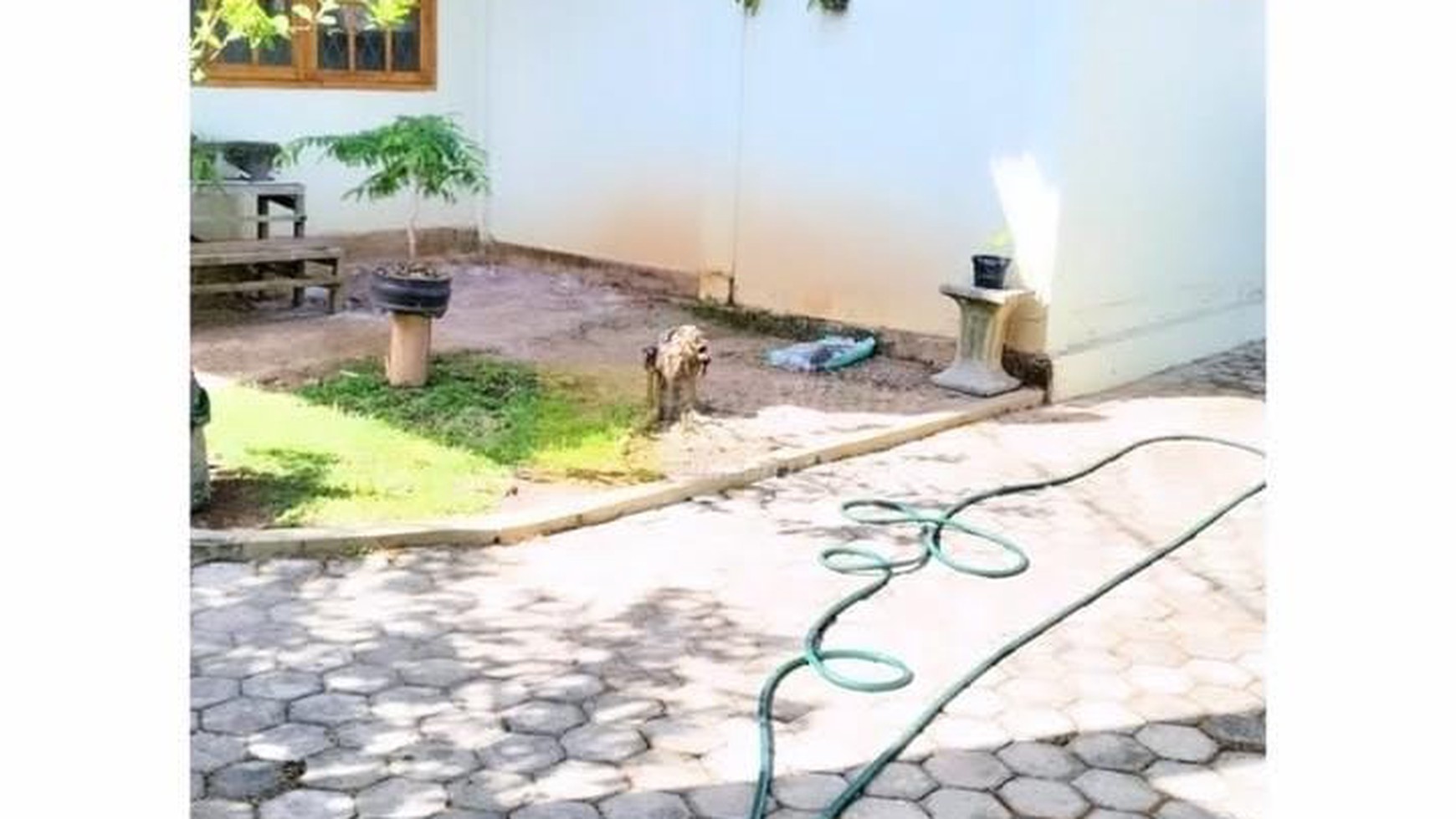 Dijual Rumah + Ruko