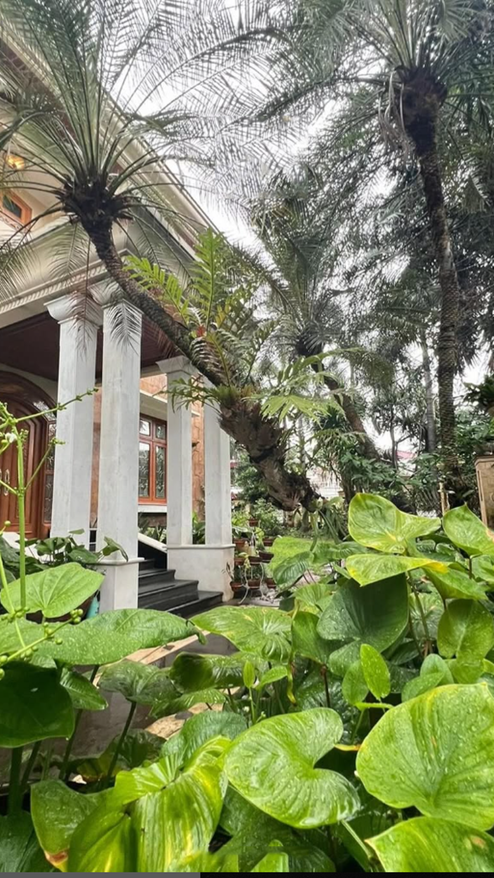 Rumah Mewah dengan Pool di Brawijaya, Kebayoran Baru, Jakarta