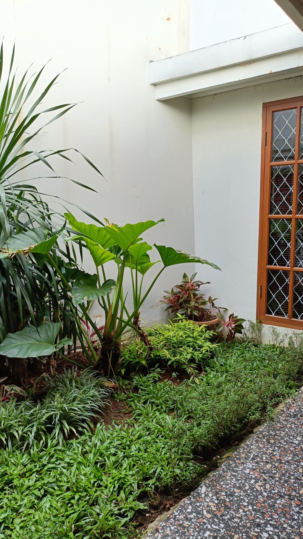 Rumah Siap Huni di Kucica, Sektor 9 Bintaro Jaya