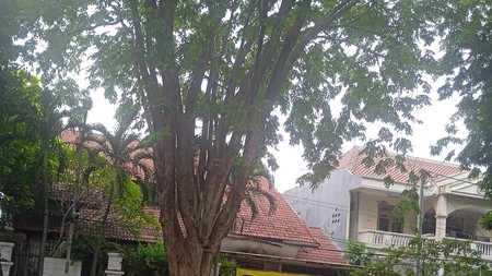 Rumah Mewah Dijual Jemur Andayani Wonocolo Surabaya