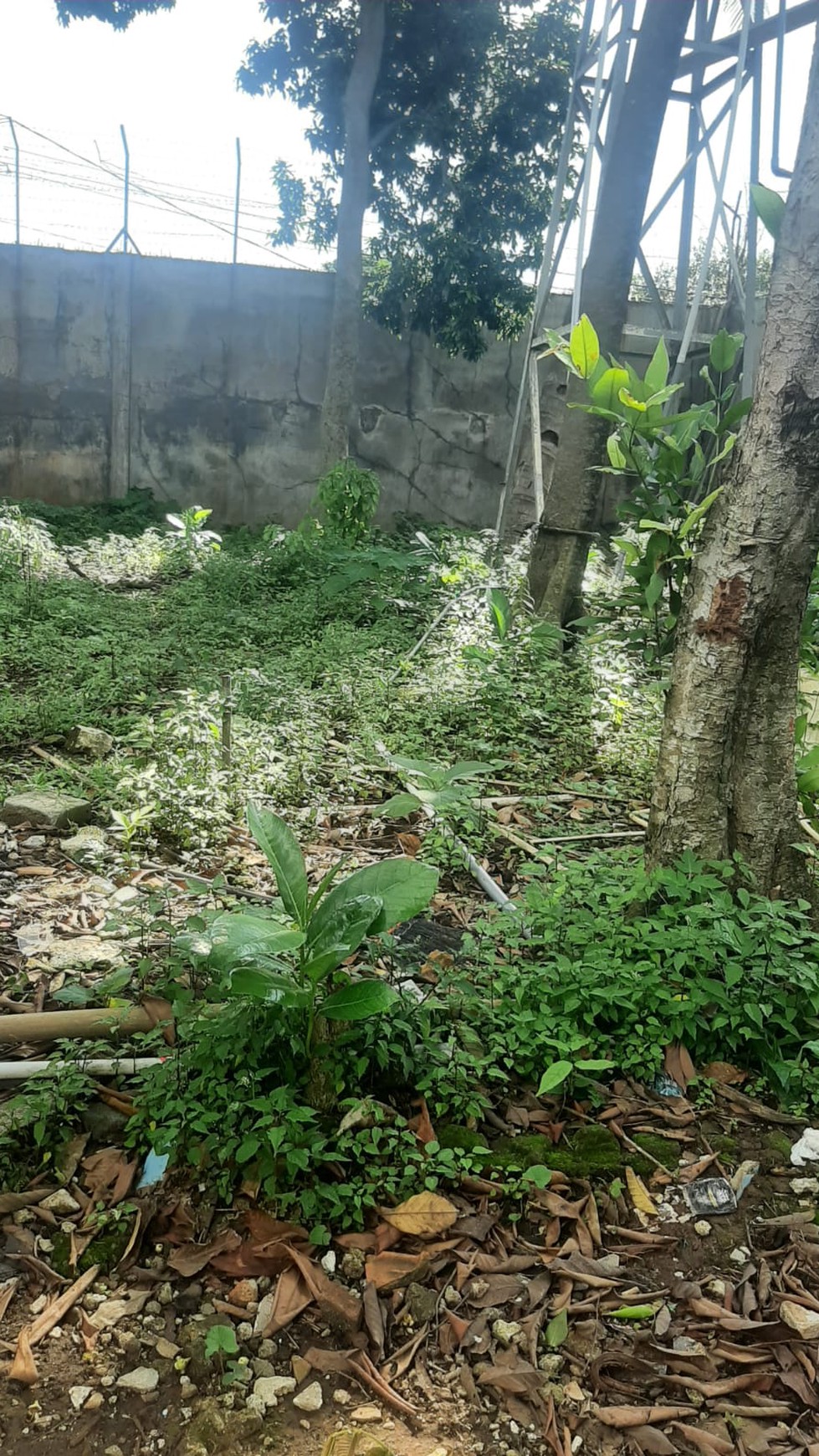 Kavling & Bangunan, lokasi di Jalan Utama di Ciputat.