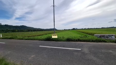 Tanah Sawah Luas 898 Meter Persegi Lokasi di Daerah Prambanan Sleman 