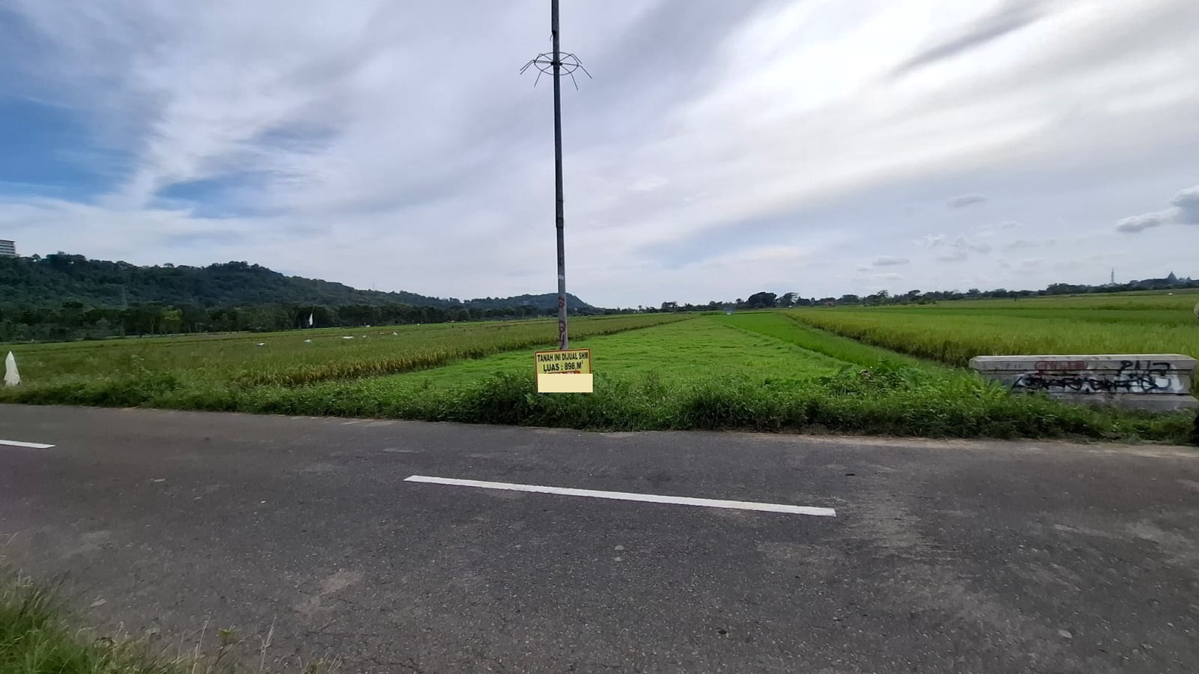 Tanah Sawah Luas 898 Meter Persegi Lokasi di Daerah Prambanan Sleman 