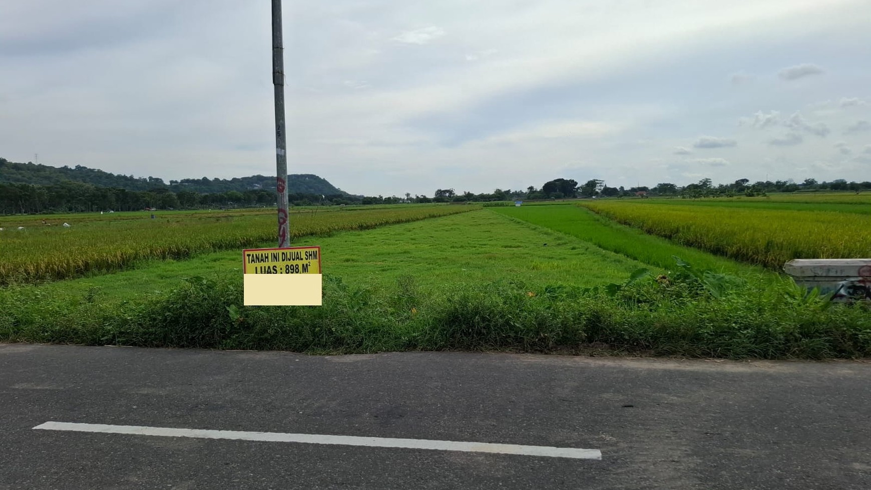 Tanah Sawah Luas 898 Meter Persegi Lokasi di Daerah Prambanan Sleman 