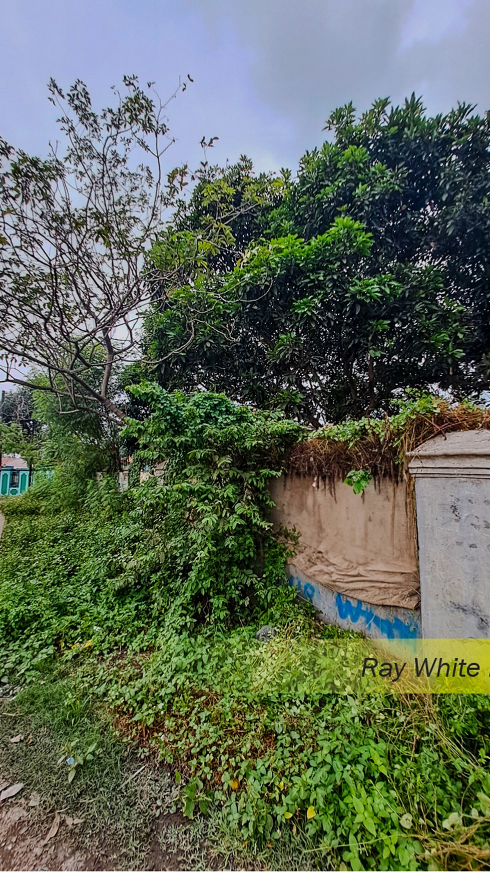 TANAH KAVLING 10.000 m2 DI SINDANG JAYA, KABUPATEN TANGERANG, COCOK UNTUK CLUSTER PERUMAHAN / PERGUDANGAN