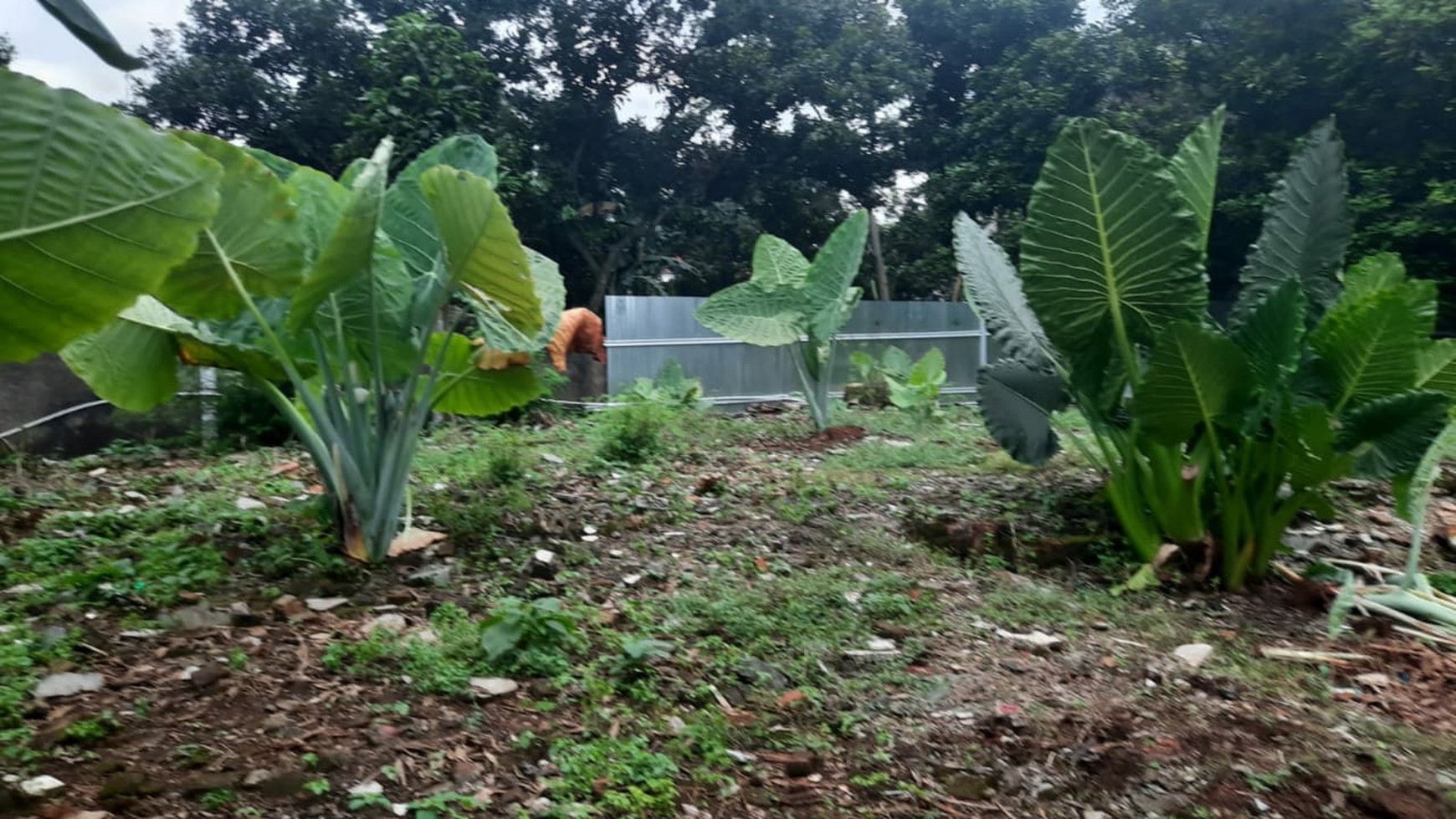 Tanah dan Bangunan Lokasi Sangat Strategis Zona Komersial Harga Dibawah NJOP di Margasatwa, Cilandak,