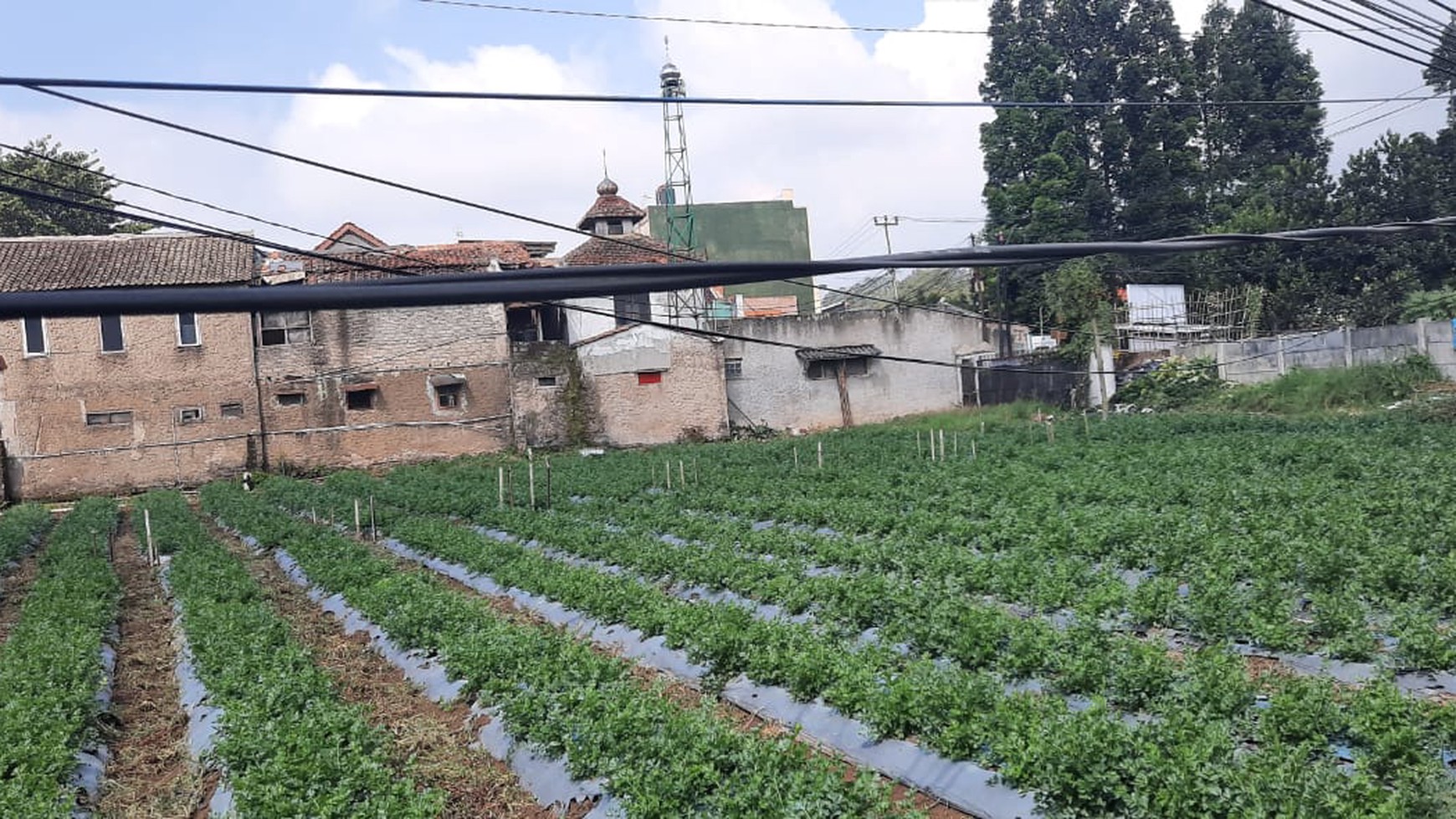 Tanah Lokasi Strategis di Lembang, Bandung cocok untuk Agrobisnis, Perumahan, Hotel dan Villa