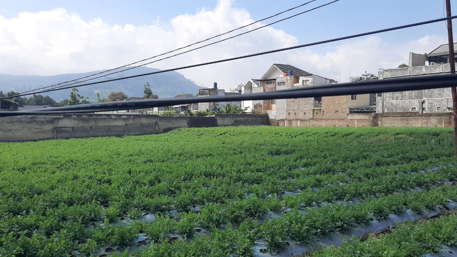 Tanah Lokasi Strategis di Lembang, Bandung cocok untuk Agrobisnis, Perumahan, Hotel dan Villa