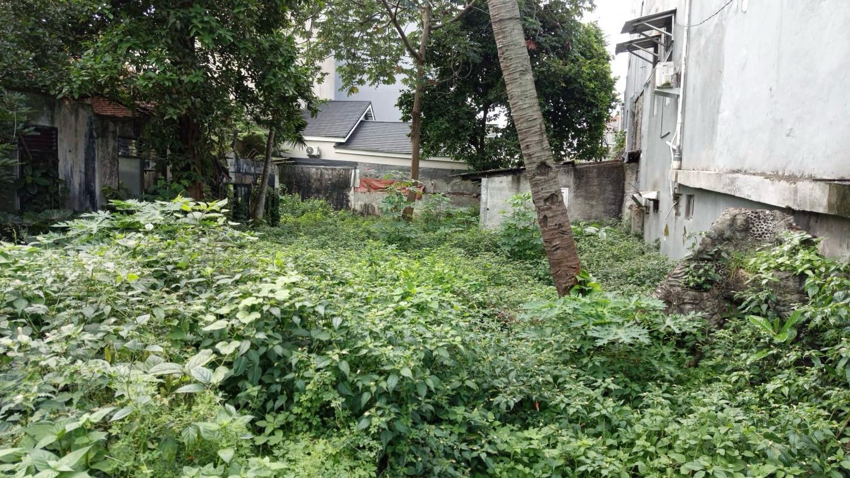 Tanah Luas Cocok Untuk Usaha Pembangunan Cluster/ Townhouse/ Kos-kosan di Menteng Dalam, Tebet