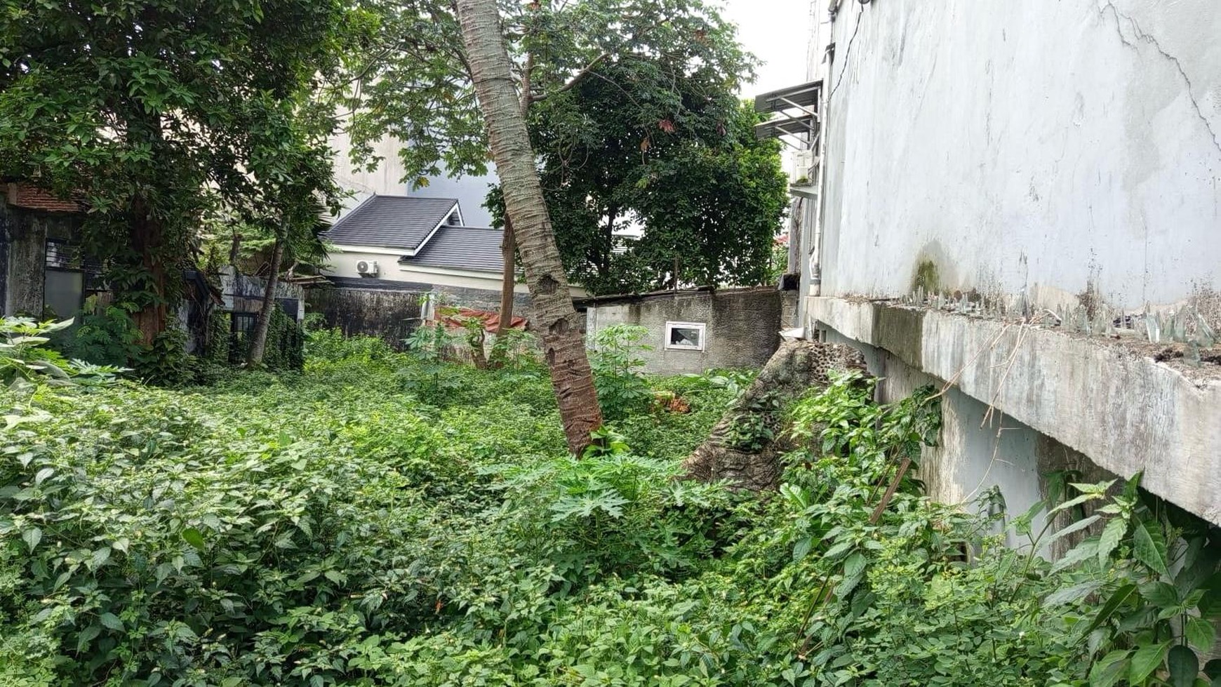 Tanah Luas Cocok Untuk Usaha Pembangunan Cluster/ Townhouse/ Kos-kosan di Menteng Dalam, Tebet