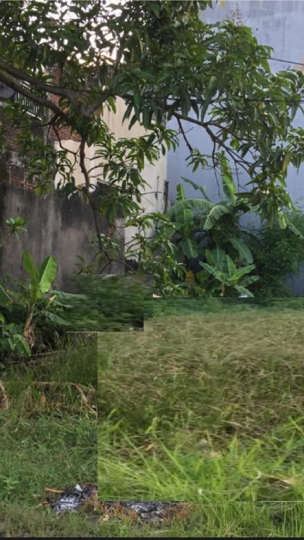 Dijual Tanah Murah Jl Raya Bangah Jaya Kavling Polda Gedangan Sidoarjo