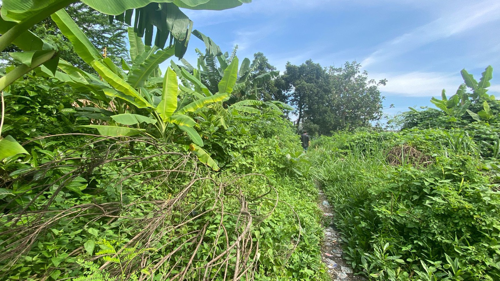 Tanah Luas 3900 Meter Persegi Di Jalan Hos Cokroaminoto Tegalrejo Yogyakarta