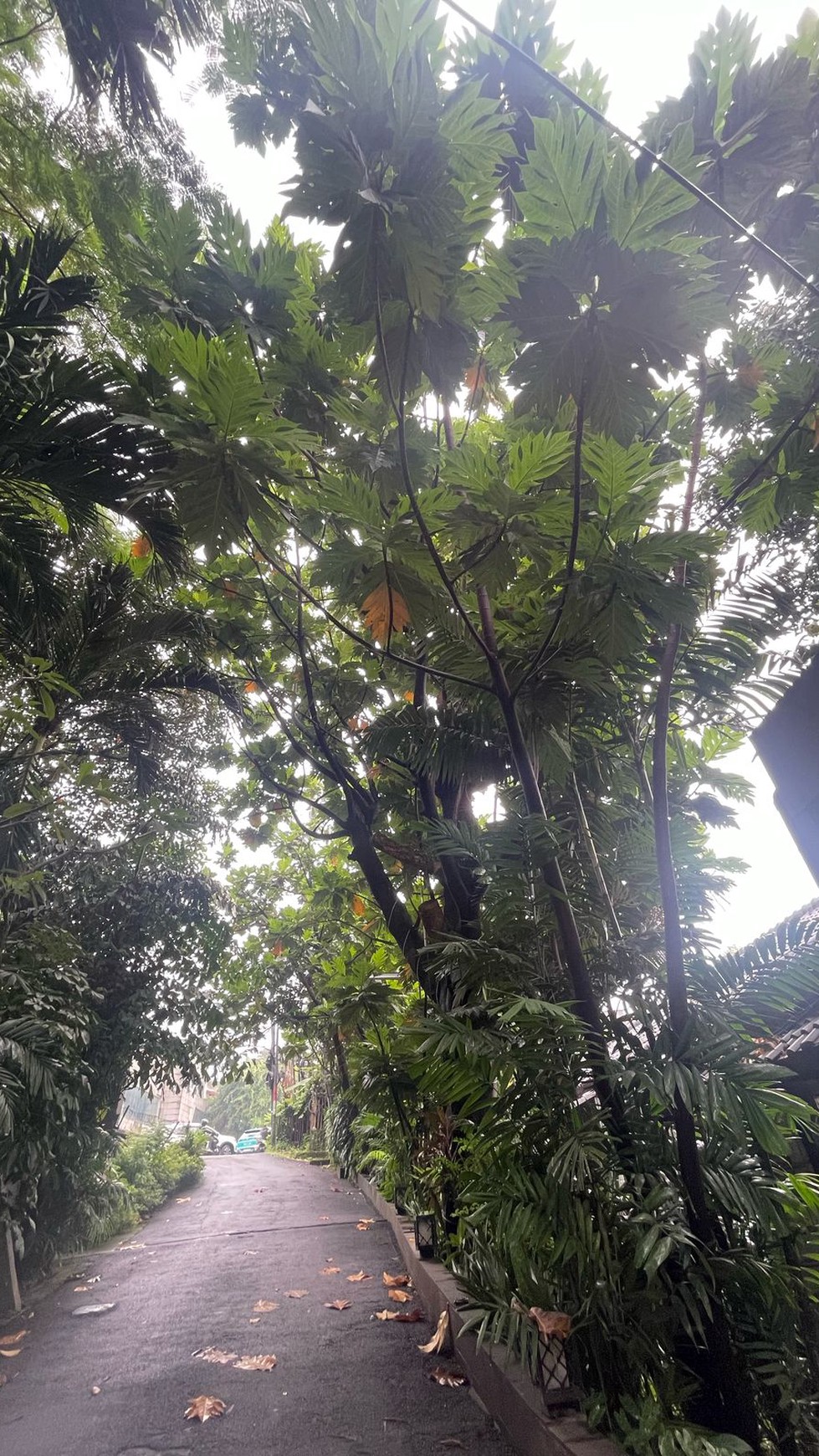 Dijual Tanah Lokasi Strategis di Kemang, Jakarta Selatan