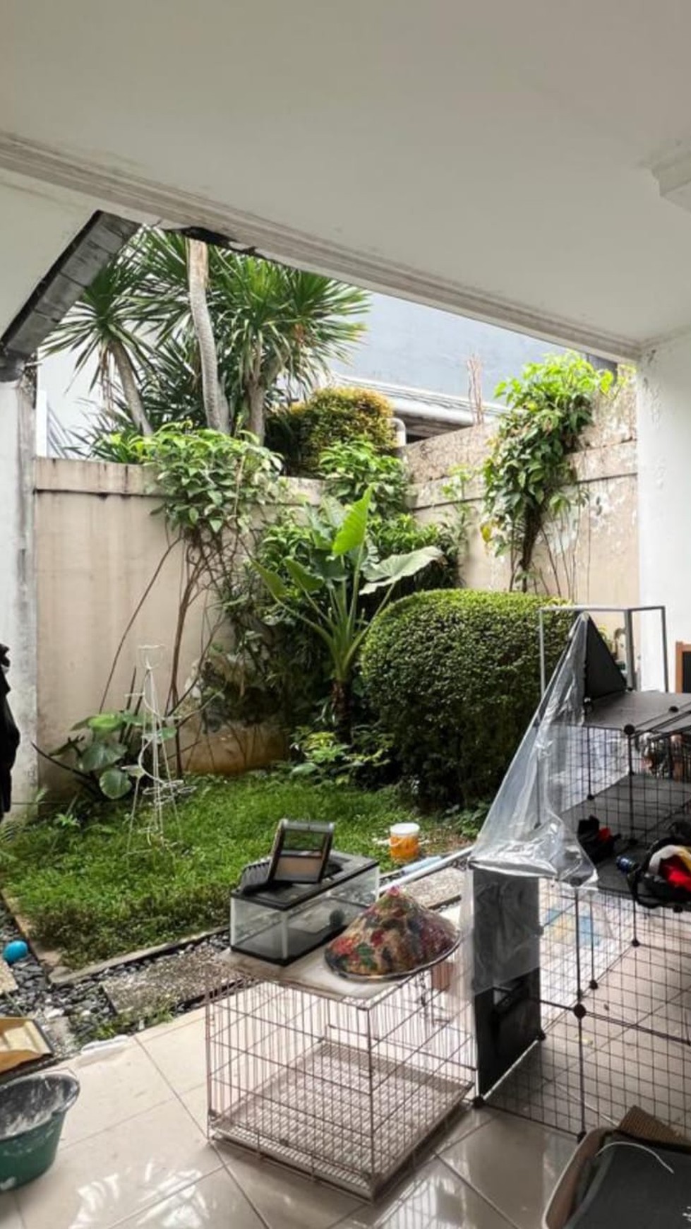 Rumah Renovasi Delatinos BSD city