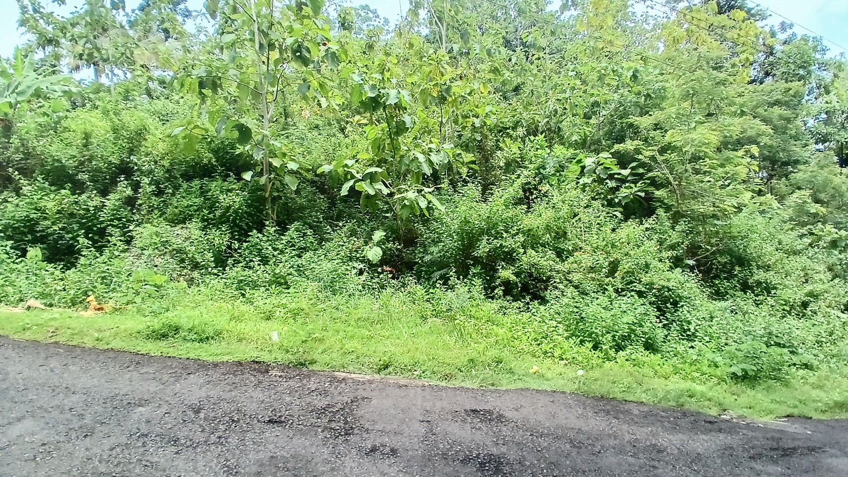 Tanah 781 Meter Lokasi Dekat Balai Desa Girikerto