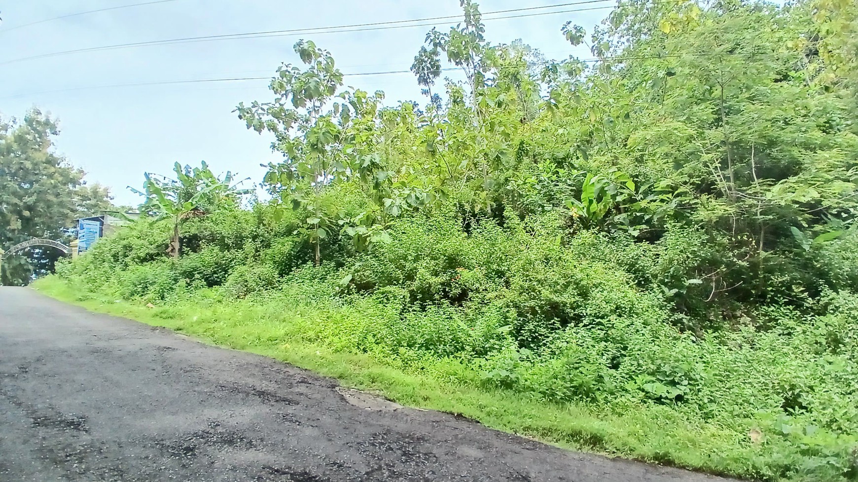 Tanah 781 Meter Lokasi Dekat Balai Desa Girikerto