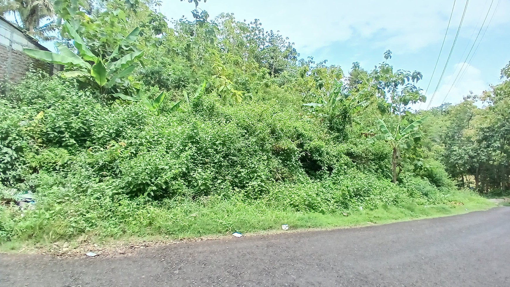 Tanah 781 Meter Lokasi Dekat Balai Desa Girikerto