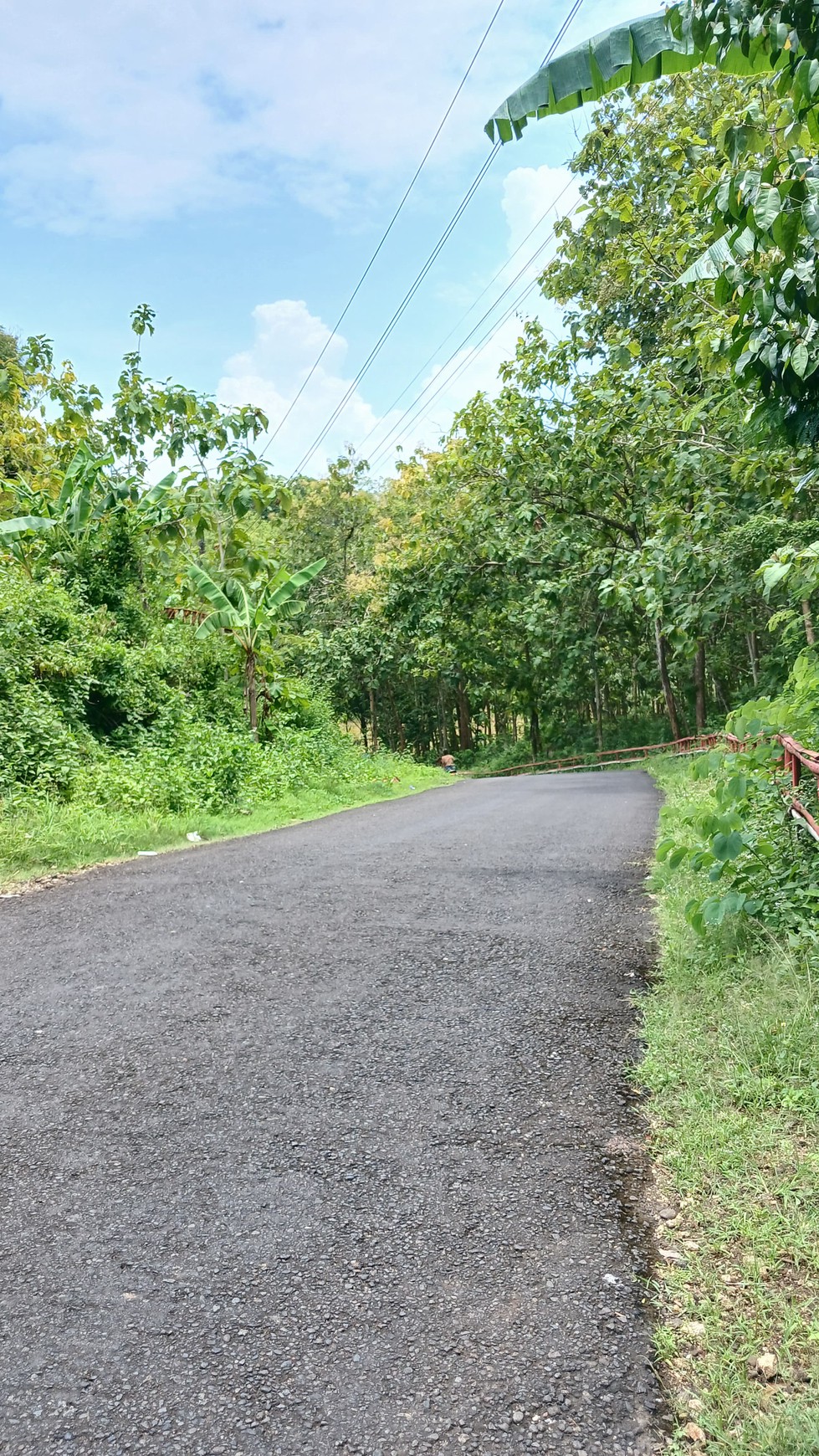 Tanah 781 Meter Lokasi Dekat Balai Desa Girikerto
