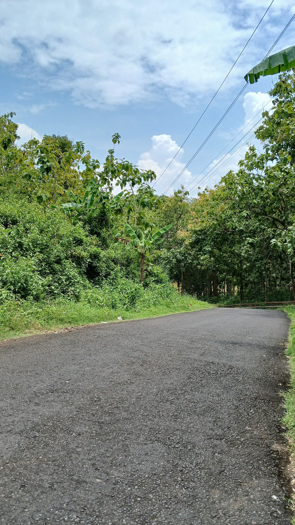 Tanah 781 Meter Lokasi Dekat Balai Desa Girikerto