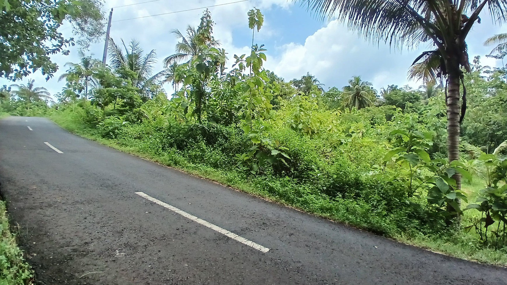 Tanah 6500 Meter Persegi Dekat SDN Bolang Girikarto Panggang Gunungkidul