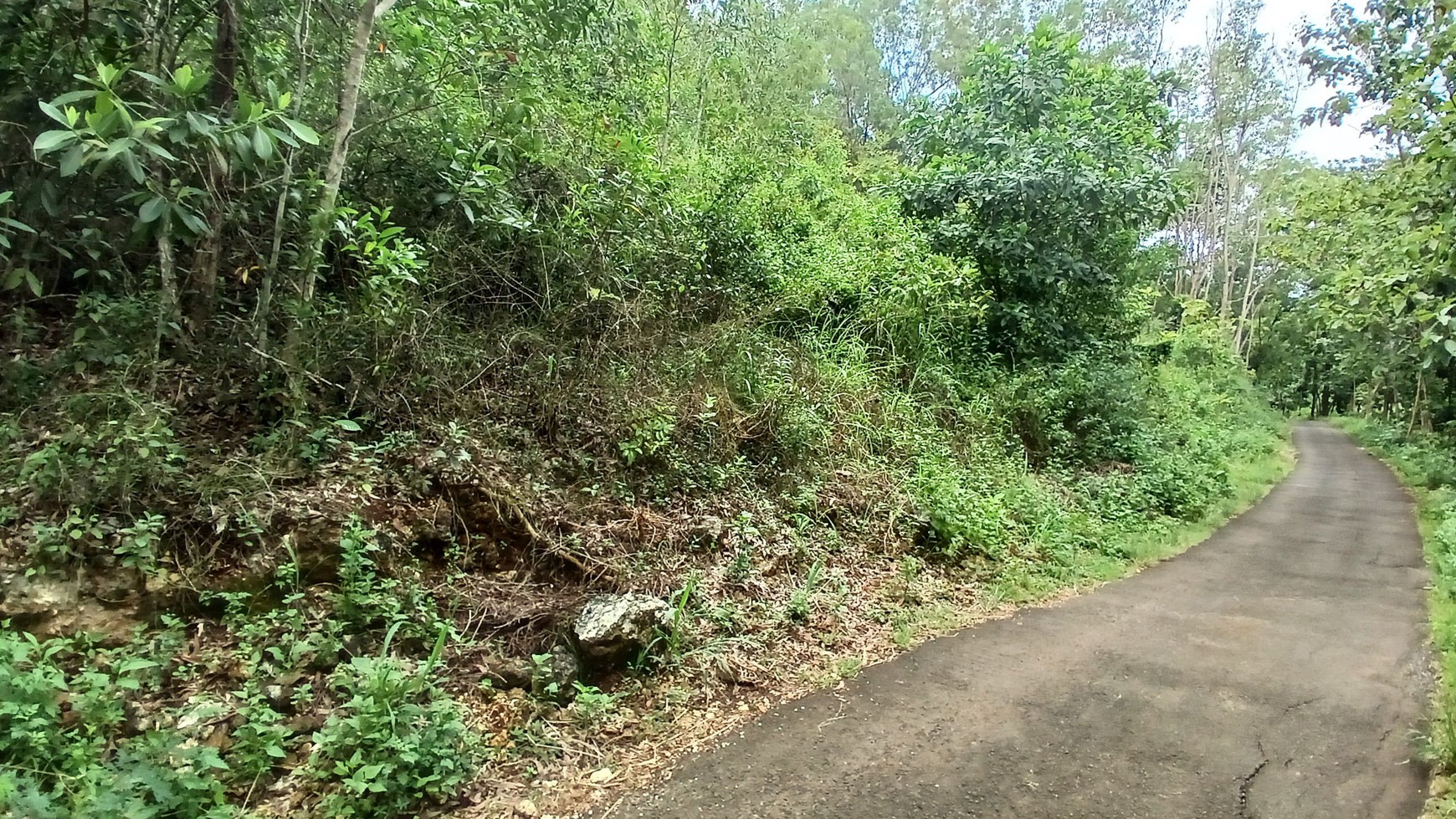 Tanah 1367 Meter Persegi Dekat Pantai Wahkudu Girikerto Panggang Gunungkidul