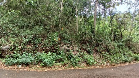 Tanah 1367 Meter Persegi Dekat Pantai Wahkudu Girikerto Panggang Gunungkidul