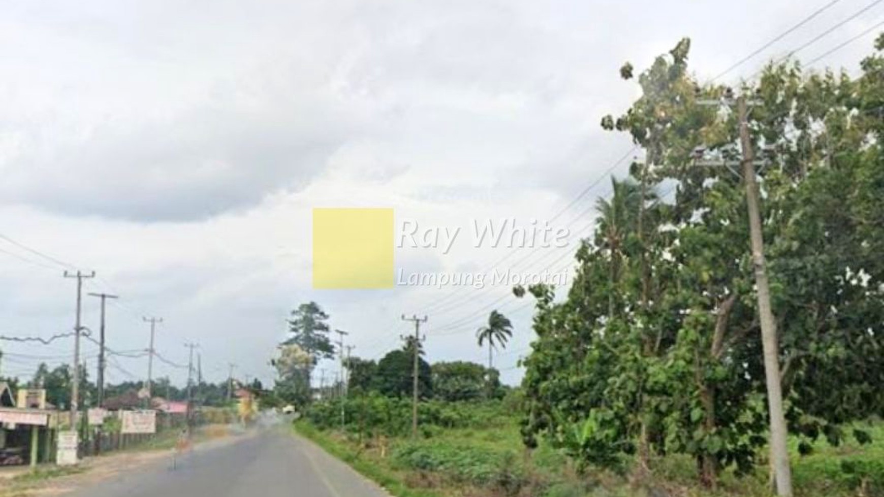 Tanah dijual disewakan strategis jalan lintas sumatra lokasi Terbanggi