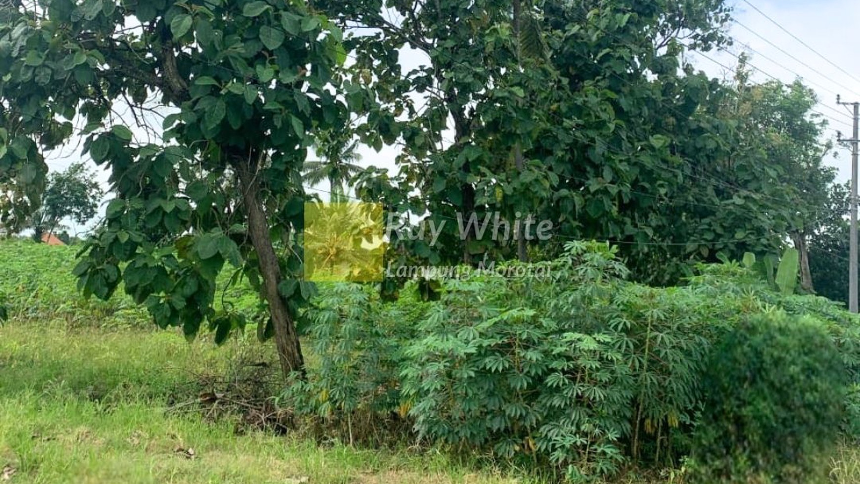 Tanah dijual disewakan strategis jalan lintas sumatra lokasi Terbanggi