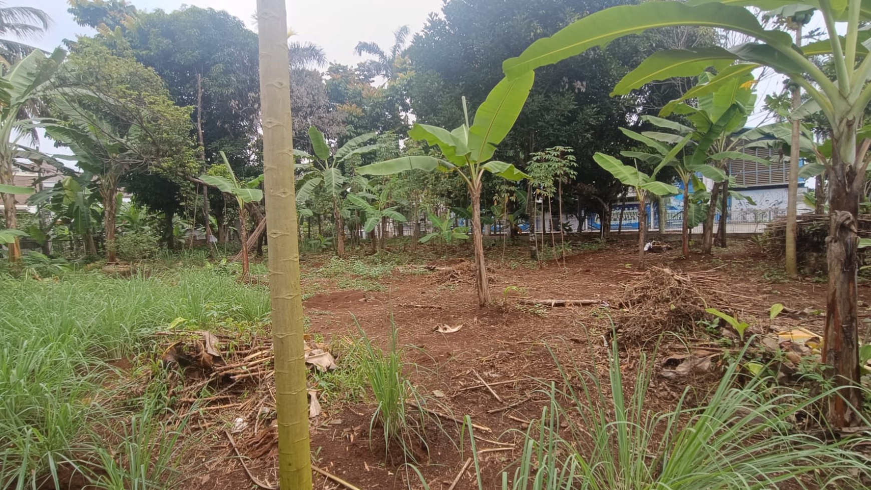 DIjual Tanah di Cibubur