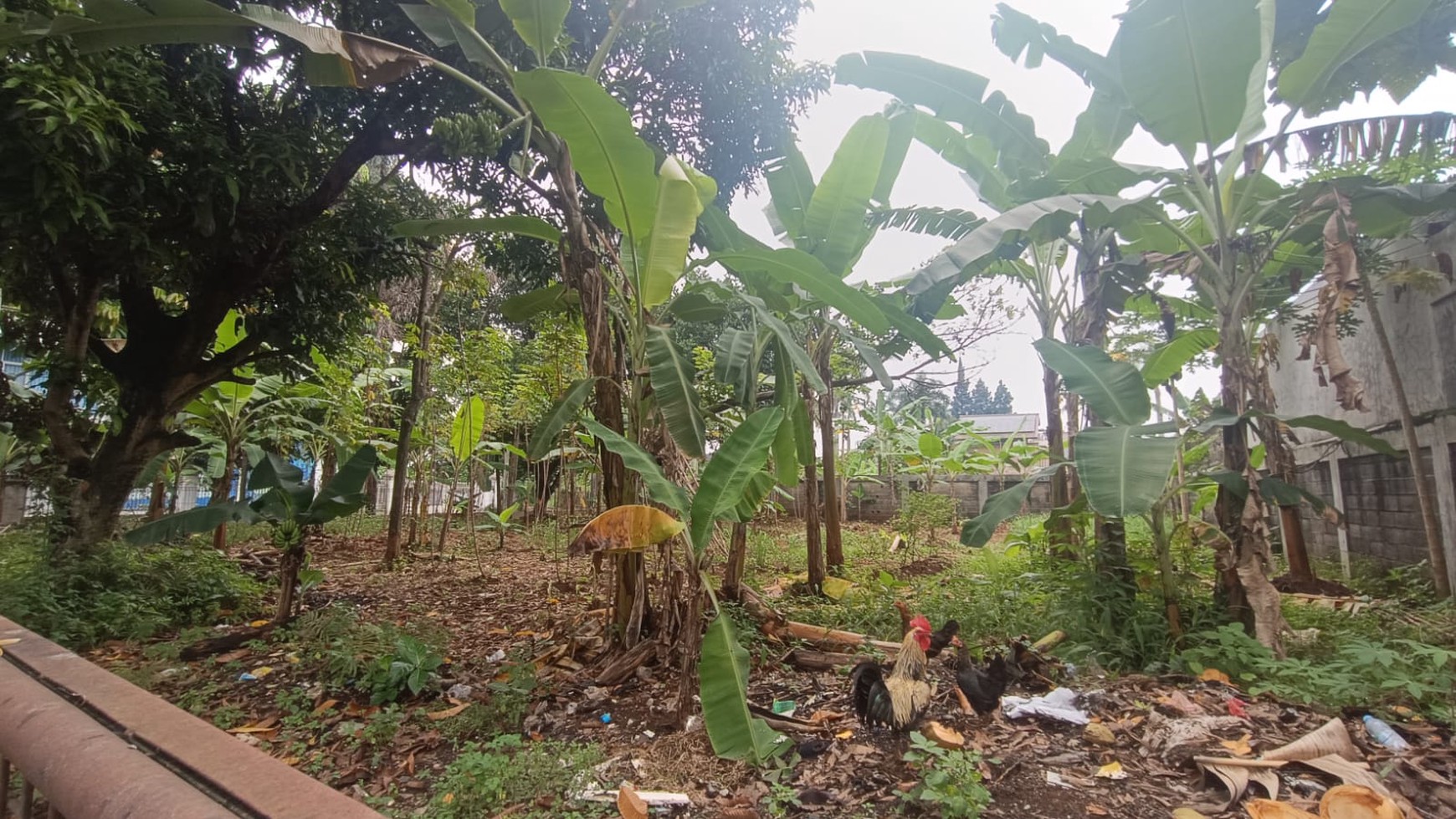 DIjual Tanah di Cibubur