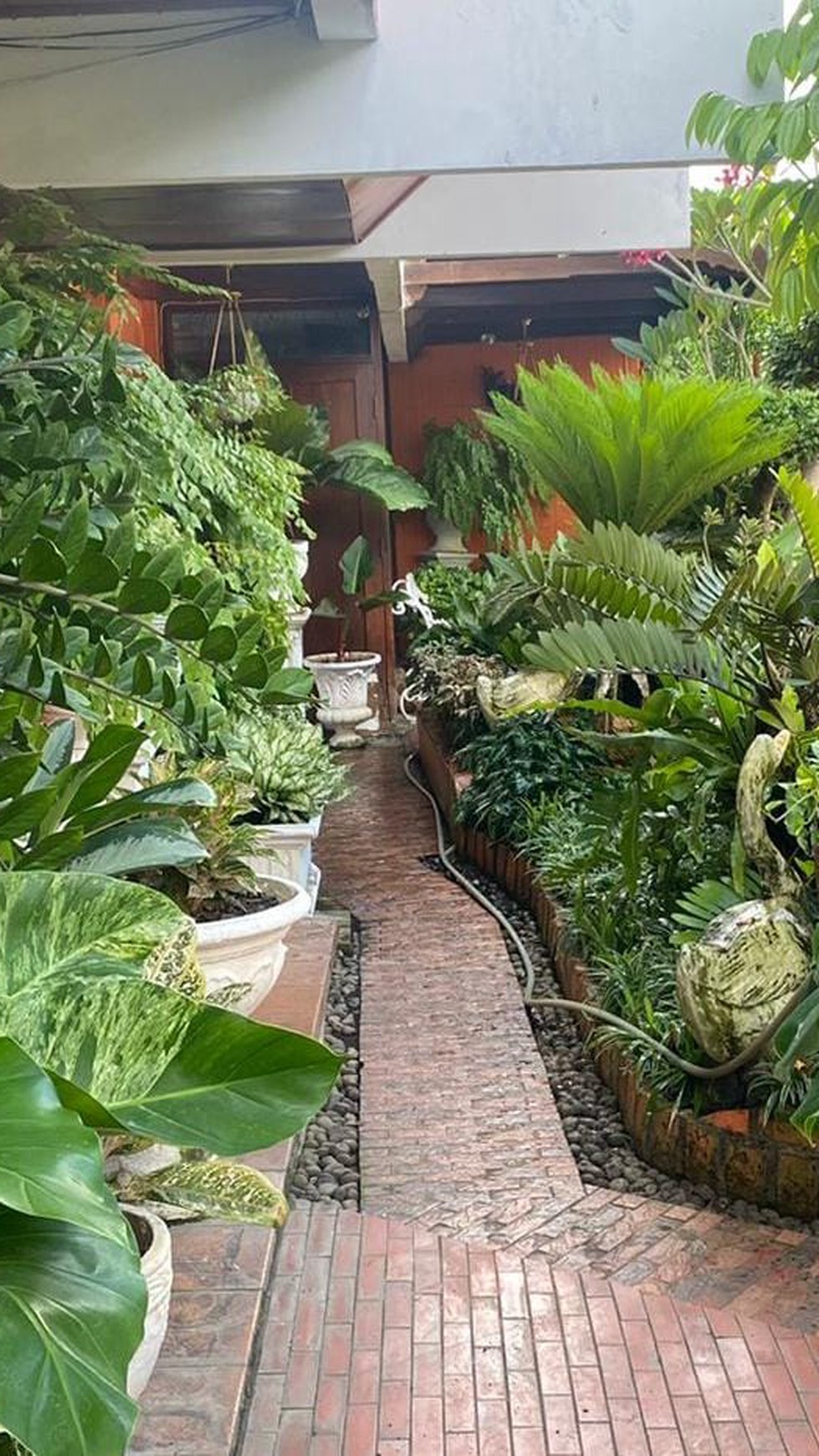 Di Jual Rumah Asri 2 Lantai siap Huni di Salemba