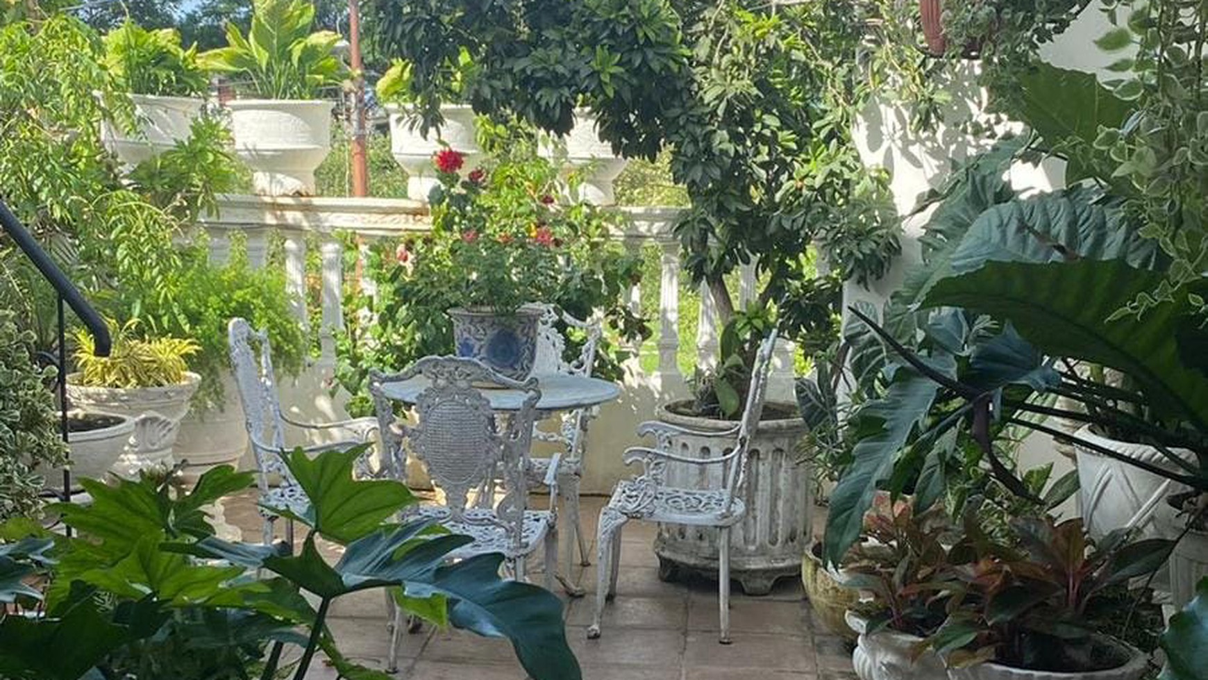 Di Jual Rumah Asri 2 Lantai siap Huni di Salemba