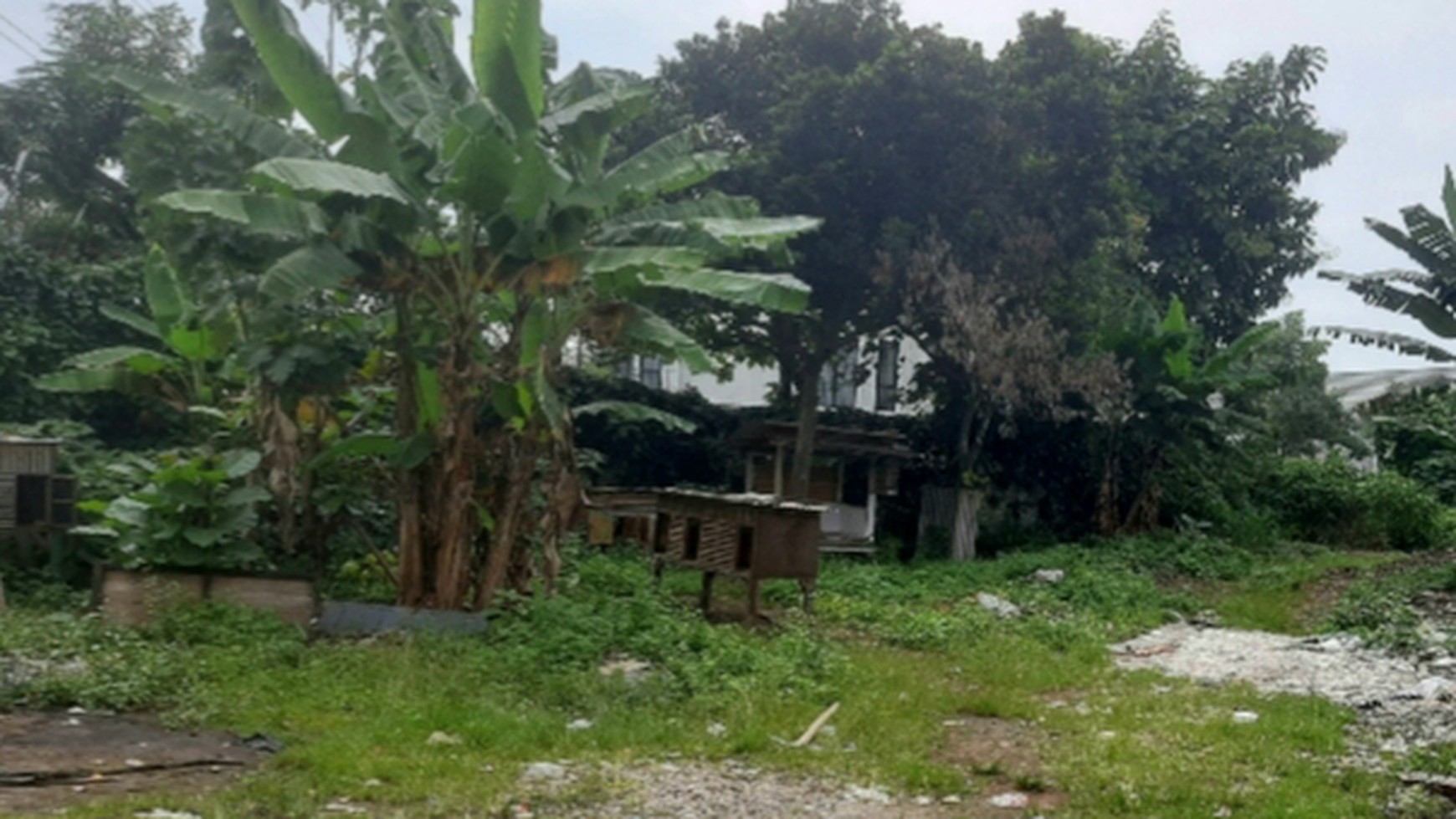 Tanah luas cocok untuk perumahan/usaha di Bogor dekat IPB Dramaga