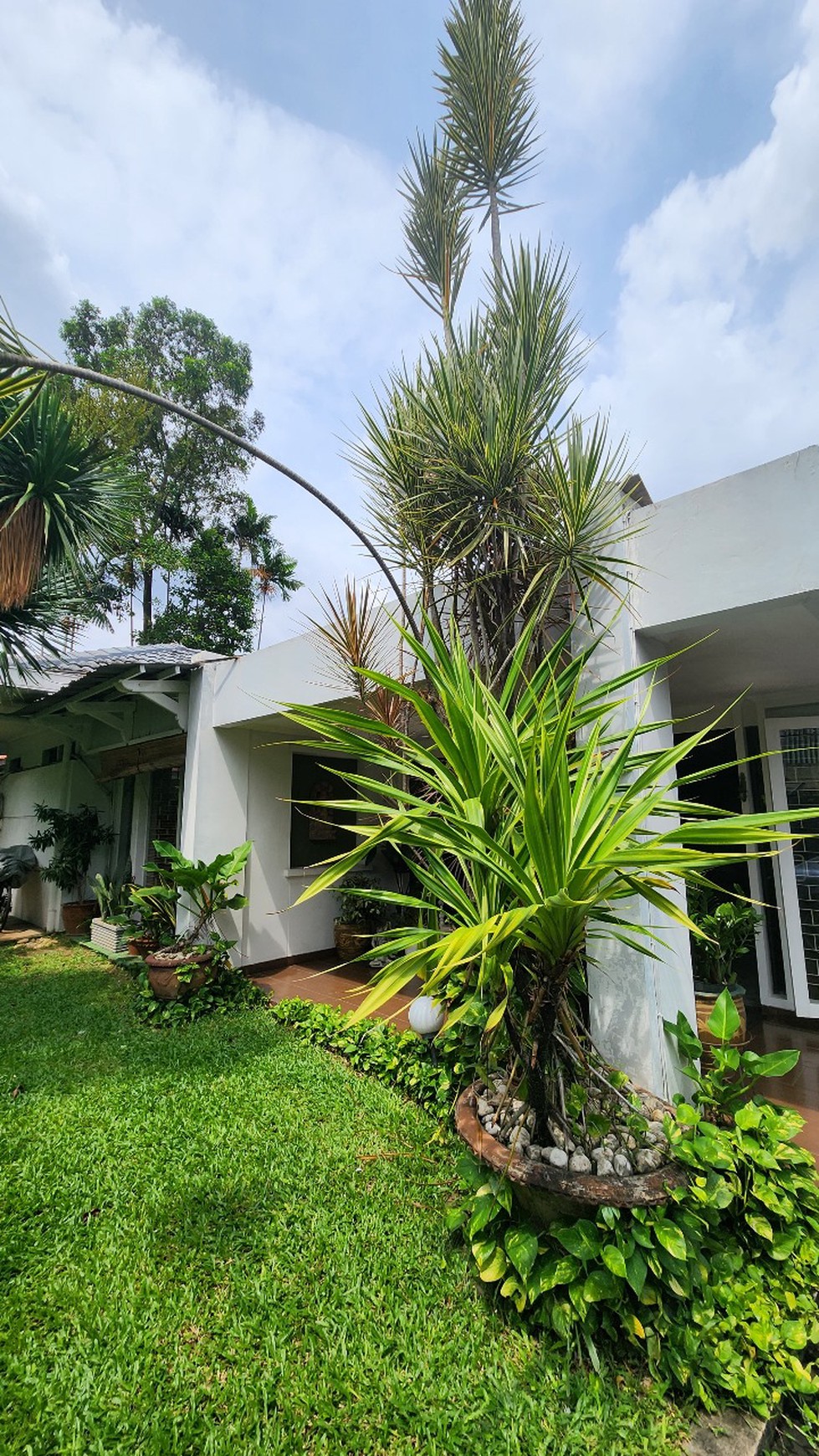 Di Jual Rumah Gumuk lokasi di Jl. Kemang V Bangka Jakarta Selatan