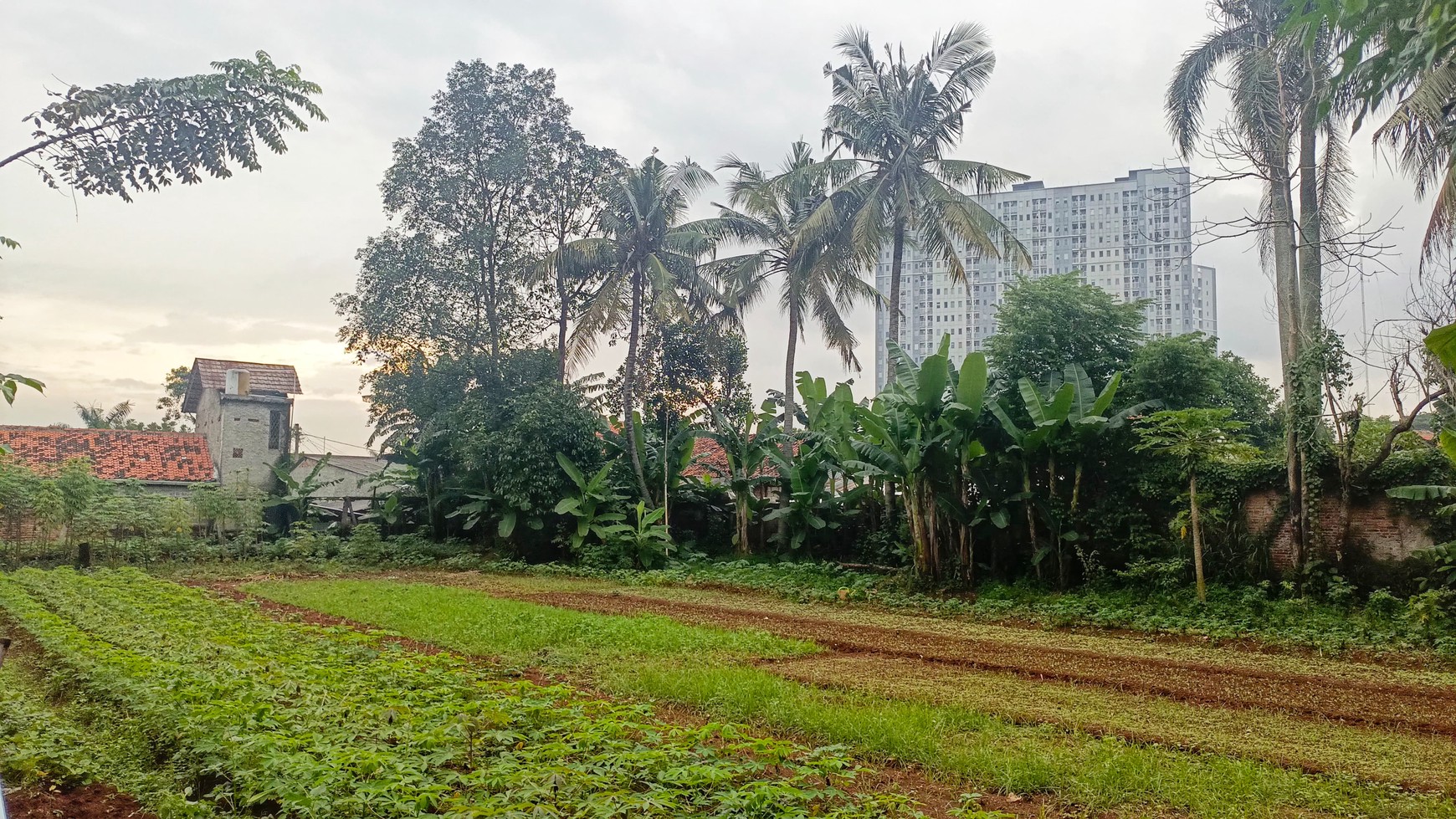 Kavling Siap Bangun Di Jl Jombang Raya Pondok Aren Tangerang Selatan