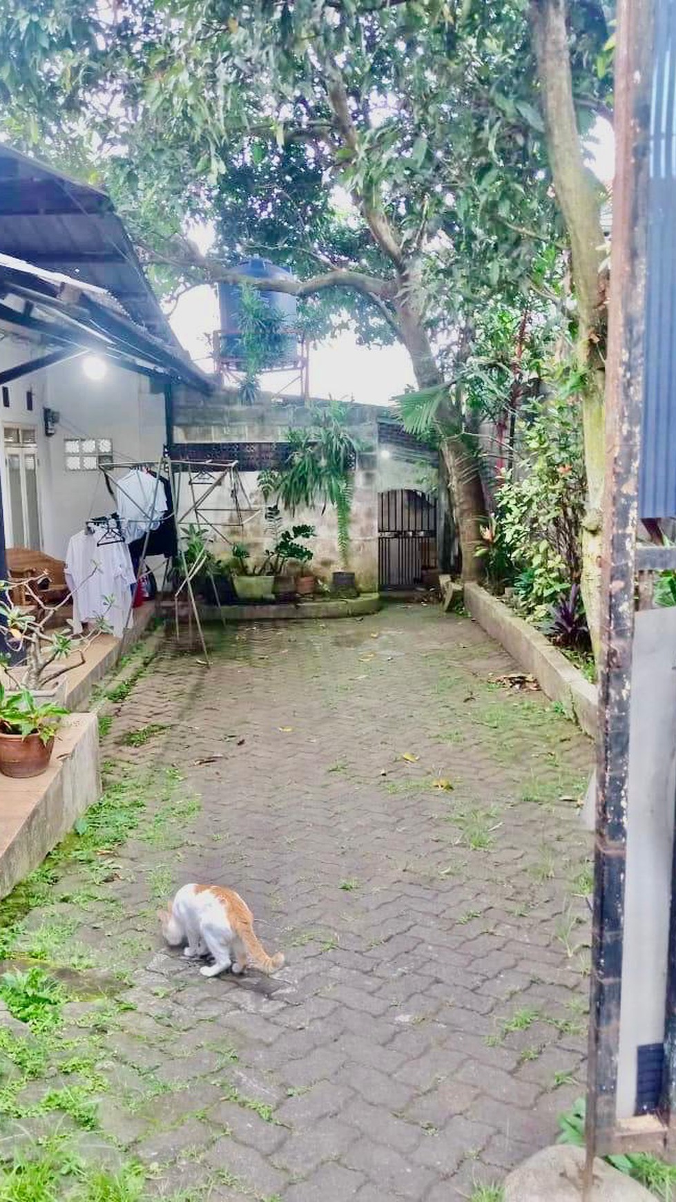 Rumah Bagus Di Cihanjuang Cibabat, Cimahi Utara Jawa Barat