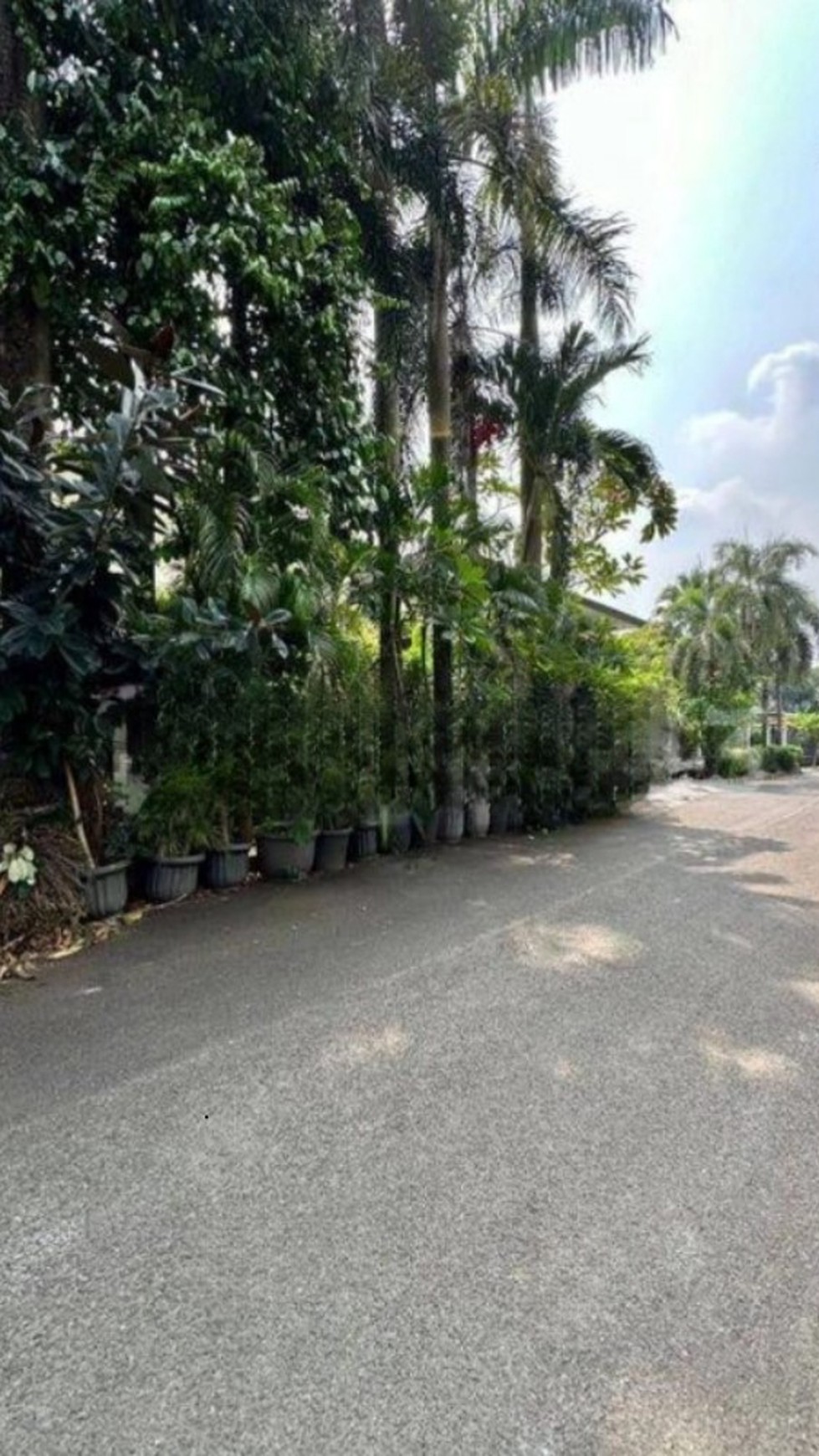 Rumah Luas Permata Hijau 