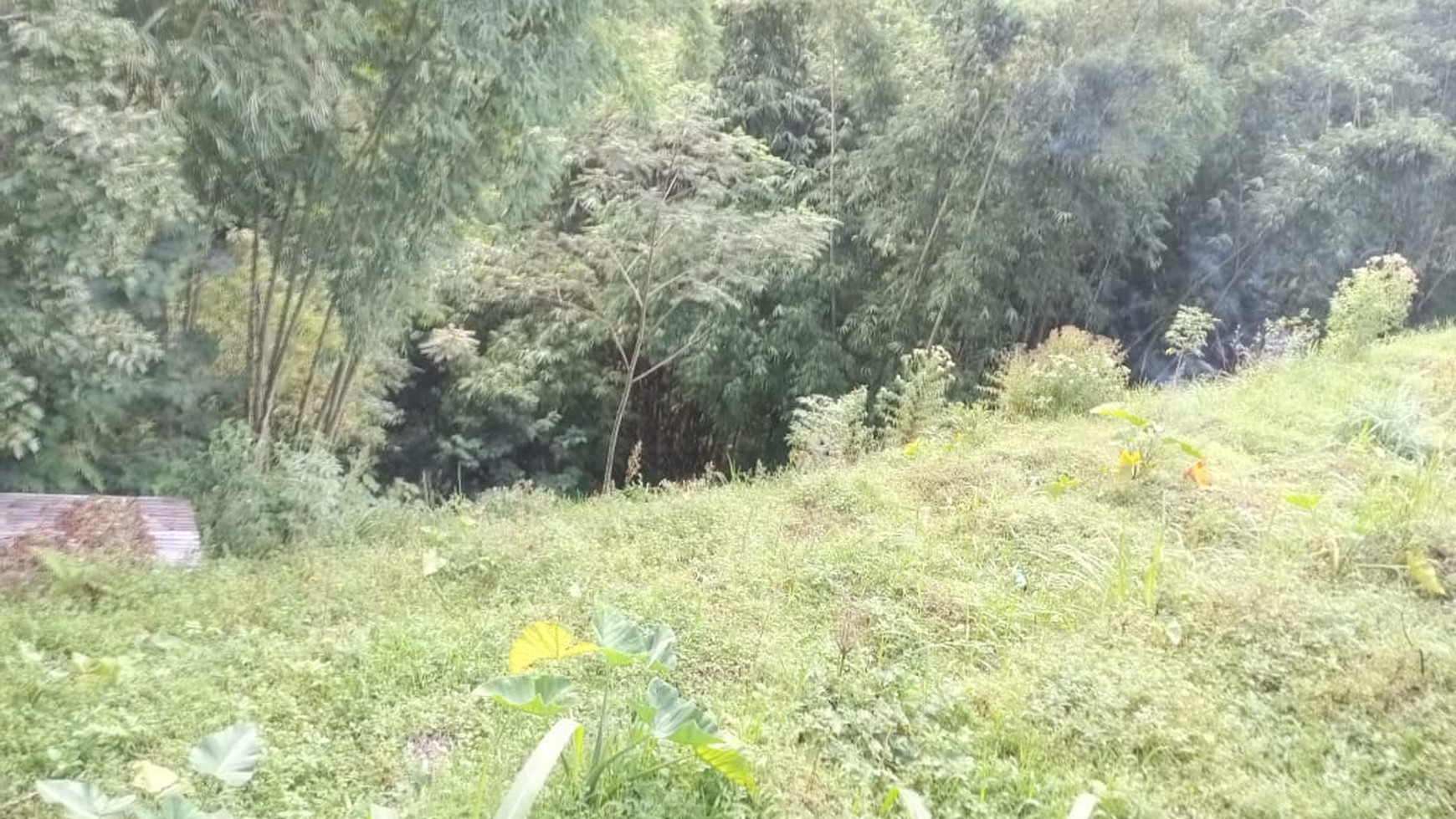 Tanah 619 Meter Persegi Cocok Untuk Perkebunan Lokasi kaliangkrik Magelang